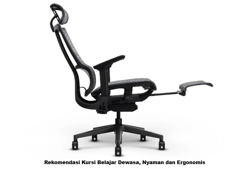 Kursi Belajar Dewasa